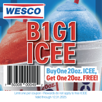 B1G1 ICEE CE3