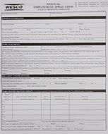 Full Employment Application H10